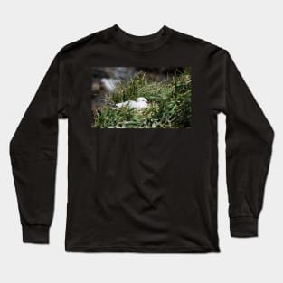 Seagull colony. Long Sleeve T-Shirt